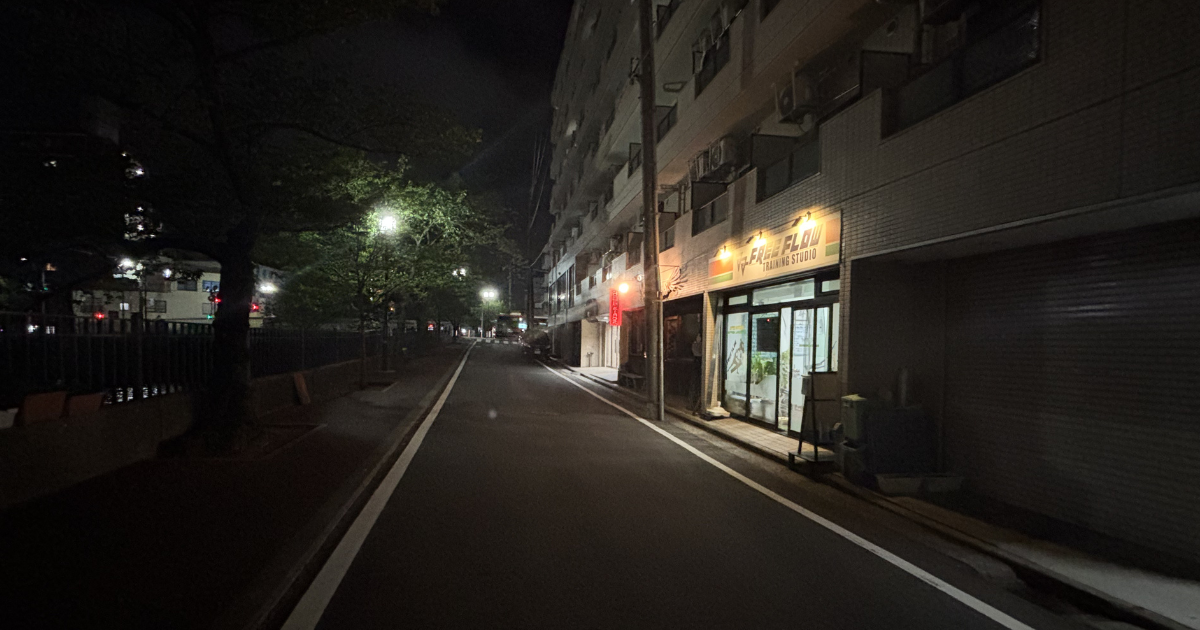 ガガンボの襲来