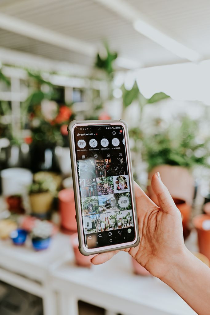 Hand holding smartphone with Instagram app open, blurred background of plants.